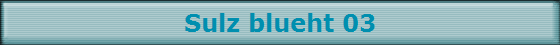 Sulz blueht 03