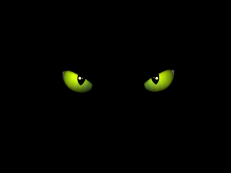 cateyes
