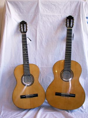 Wims Guitar Shop 010